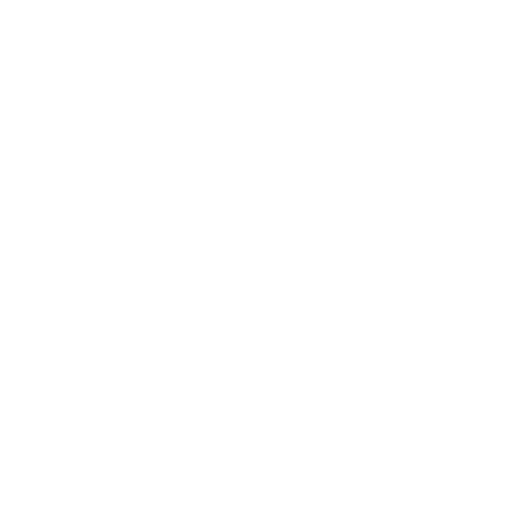 LEKKR Logo